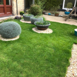 Techniques de taille pour maintenir un jardin esthétique et en bonne santé Villeneuve-Saint-Georges